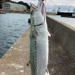 スーパーライトショアジギング